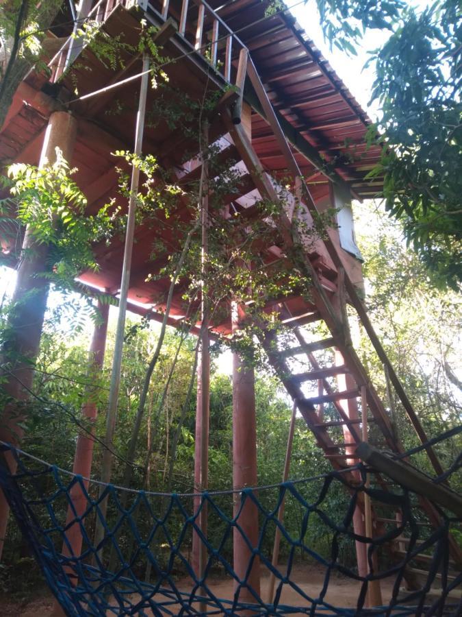 Dambulla Tree Houseヴィラ エクステリア 写真